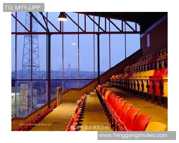 英国足球巨星：闪耀球场的英格兰之光